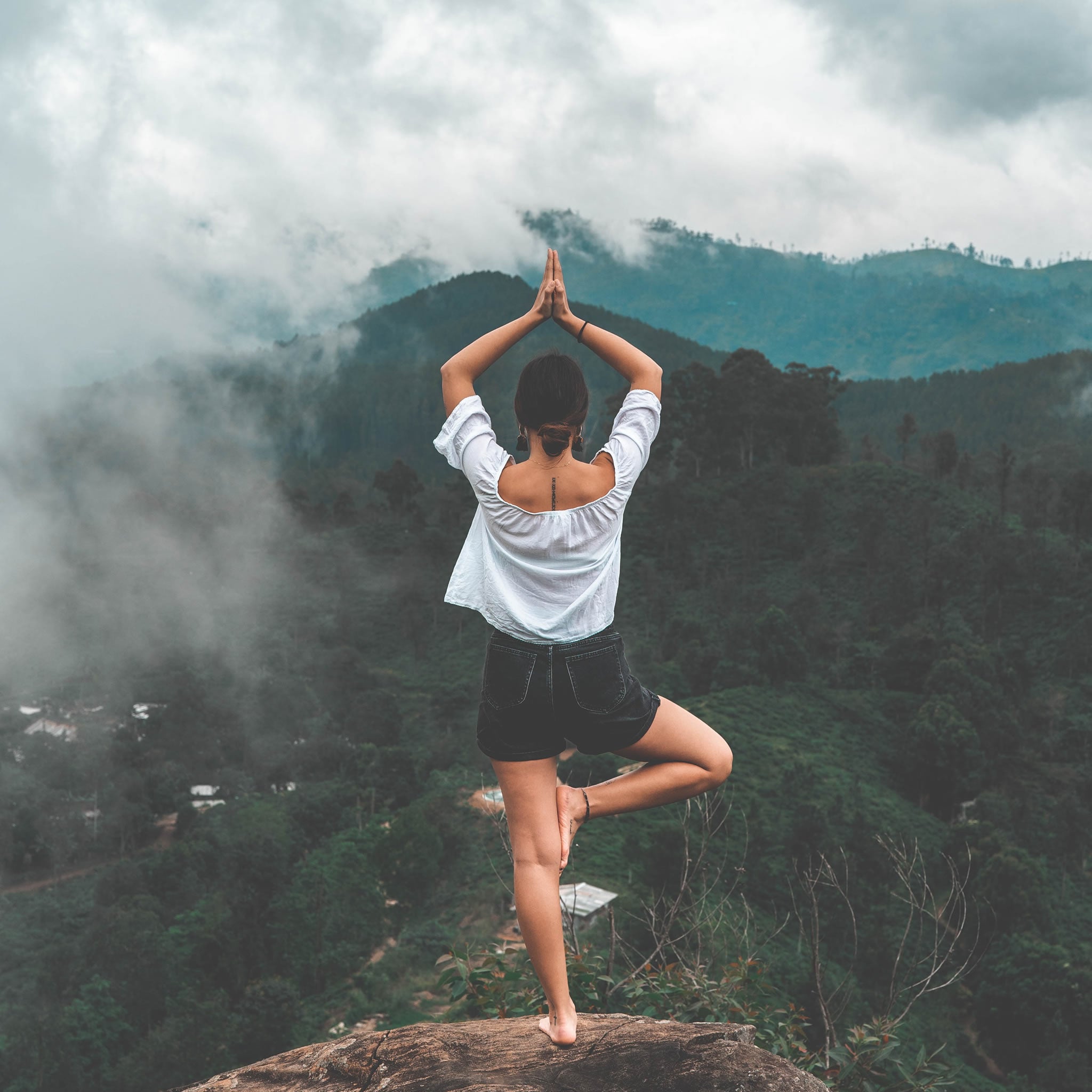 1 order 1 tree planted with shasha's forest